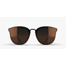 LOUBSOL lunette soleil MINNESOTA - ECAILLE SM3