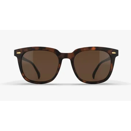 LOUBSOL JOURNEY ECAILLE SB3 LUNETTES 2023