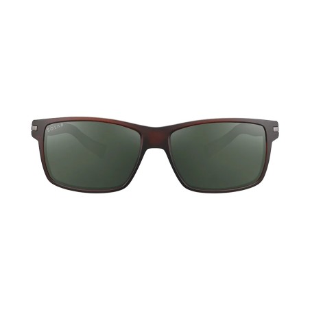 solar lunettes de soleil HENRY - MARRON TRANS PLZ VERT