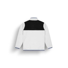 PICTURE Polaire homme ARCCA 1/4 - VAPOR GREY