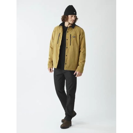 PICTURE Veste en velours homme BEMIDJI - BRONZE BROWN